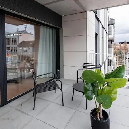 Henry's Appt With A Private 415 - Shared Kitchen *